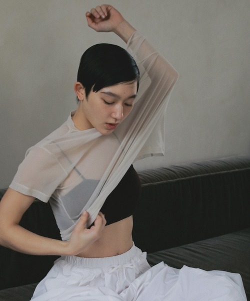 anuke(アンヌーク)の「Sheer Tulle T-Shirts(Tシャツ/カットソー・レディース・アイボリー/ブラウン/ブルー系その他・FREE)」の4枚目の写真