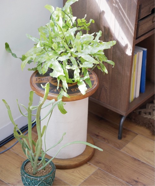 JOURNAL STANDARD FURNITURE ブリムスプールスツール BRIM SPOOL STOOL