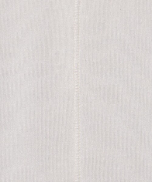 GRACE CONTINENTAL（グレースコンチネンタル）の「ロゴ刺繍カットトップ（Tシャツ/カットソー・レディース・グレー/ホワイト/ブラック・36）」の6枚目の写真