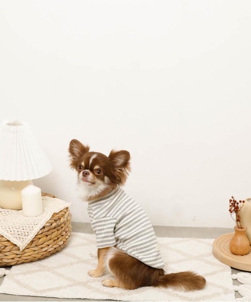 moncheri（モンシェリ）の「保温ボーダーハイネックトップス（ペットウェア・レディース・グレー/カーキ/ベージュ・S/M/L/XL/XS/2M）」の4枚目の写真