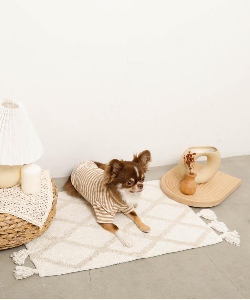 moncheri（モンシェリ）の「保温ボーダーハイネックトップス（ペットウェア・レディース・グレー/カーキ/ベージュ・S/M/L/XL/XS/2M）」の5枚目の写真