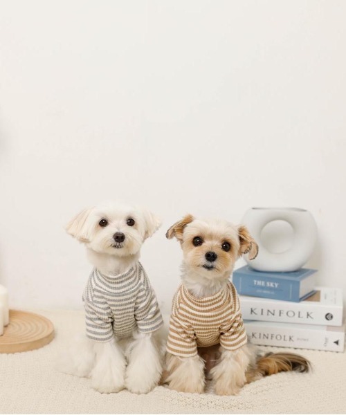 moncheri（モンシェリ）の「保温ボーダーハイネックトップス（ペットウェア・レディース・グレー/カーキ/ベージュ・S/M/L/XL/XS/2M）」の15枚目の写真