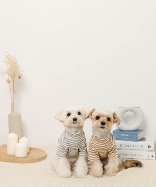 moncheri（モンシェリ）の「保温ボーダーハイネックトップス（ペットウェア・レディース・グレー/カーキ/ベージュ・S/M/L/XL/XS/2M）」の12枚目の写真