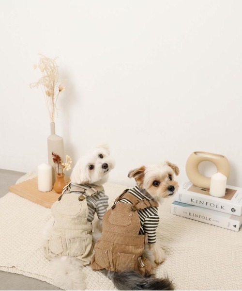 moncheri（モンシェリ）の「保温ボーダーハイネックトップス（ペットウェア・レディース・グレー/カーキ/ベージュ・S/M/L/XL/XS/2M）」の14枚目の写真