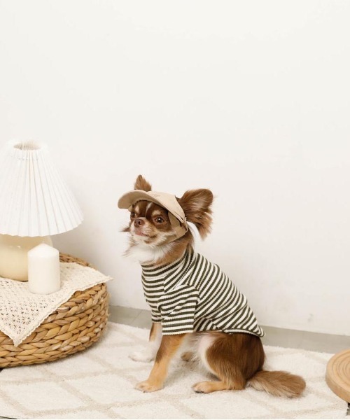 moncheri（モンシェリ）の「保温ボーダーハイネックトップス（ペットウェア・レディース・グレー/カーキ/ベージュ・S/M/L/XL/XS/2M）」の13枚目の写真