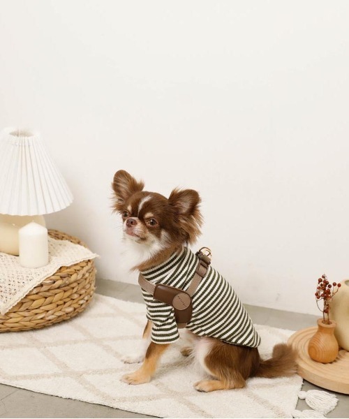 moncheri（モンシェリ）の「保温ボーダーハイネックトップス（ペットウェア・レディース・グレー/カーキ/ベージュ・S/M/L/XL/XS/2M）」の10枚目の写真