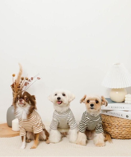 moncheri（モンシェリ）の「保温ボーダーハイネックトップス（ペットウェア・レディース・グレー/カーキ/ベージュ・S/M/L/XL/XS/2M）」の16枚目の写真