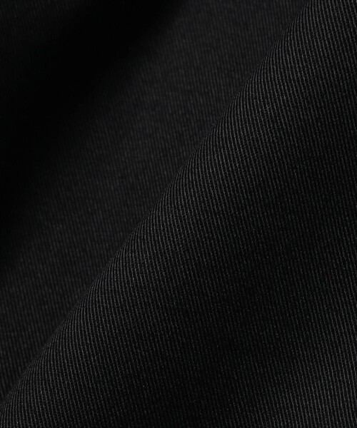 Dickies(ディッキーズ)の「【別注】Dickies / ワイド チノ ショーツ(その他パンツ・メンズ・ベージュ/ブラック・LARGE/MEDIUM/SMALL)」の17枚目の写真