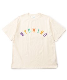 WEB限定【リンク】ロゴアップリケ半袖Tシャツ（オトナ）
