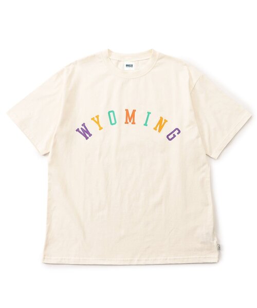 BREEZE(ブリーズ)の「WEB限定【リンク】ロゴアップリケ半袖Tシャツ(オトナ)(Tシャツ/カットソー・レディース・レインボー/グレー/オフホワイト・LARGE/MEDIUM)」の2枚目の写真