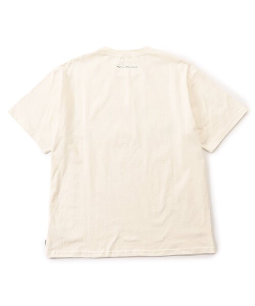 BREEZE(ブリーズ)の「WEB限定【リンク】ロゴアップリケ半袖Tシャツ(オトナ)(Tシャツ/カットソー・レディース・レインボー/グレー/オフホワイト・LARGE/MEDIUM)」の6枚目の写真