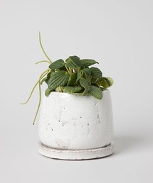 TODAY'S SPECIAL(gDfCYXyV)GLAZED POT S(t[x[X)