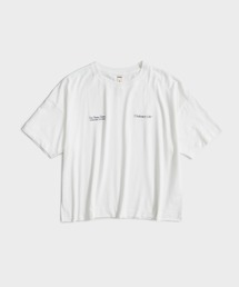 SHINYAKOZUKA(VRdJ)̕ʒ ORDINARY FAT TEE(TVc/Jbg\[)