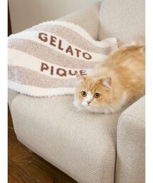 gelato pique(WF[gsP)́yCAT&DOGzWF[gW2{[_[uPbg(̑ybgObY)