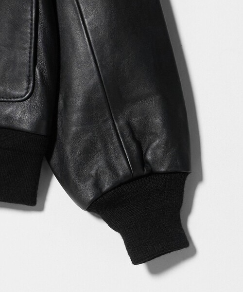 A DAY IN THE LIFE UNITED ARROWS(アデイインザライフユナイテッドアローズ)の「シープレザー フライト ブルゾン<A DAY IN THE LIFE>(ブルゾン・メンズ・ブラック・M/L)」の10枚目の写真