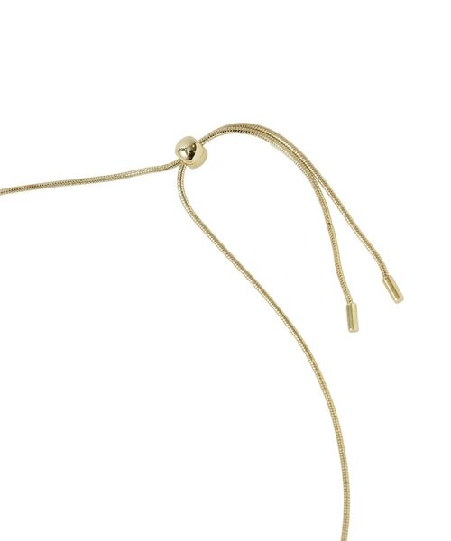 Green　Parks（グリーンパークス）の「シズクスライドネックレス（ネックレス・レディース・シルバー/ゴールド・FREE）」の6枚目の写真