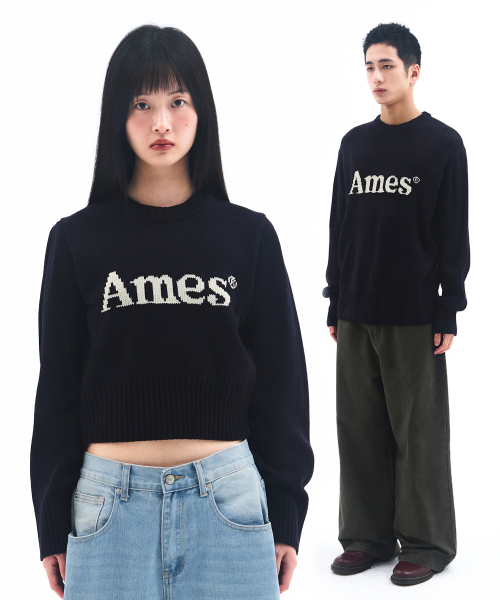 AMESWORLDWIDE(アメスワールドワイド)の「BASIC PULLOVER KNIT NAVY(ニット/セーター・メンズ・その他・MEDIUM/LARGE/SMALL)」の1枚目の写真