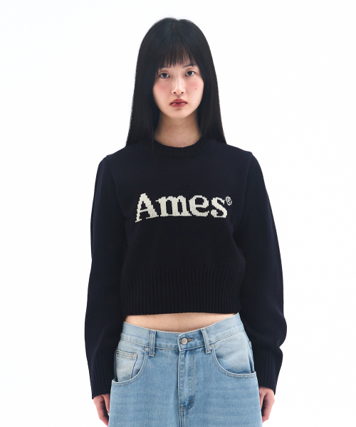 AMESWORLDWIDE(アメスワールドワイド)の「BASIC PULLOVER KNIT NAVY(ニット/セーター・メンズ・その他・MEDIUM/LARGE/SMALL)」の2枚目の写真