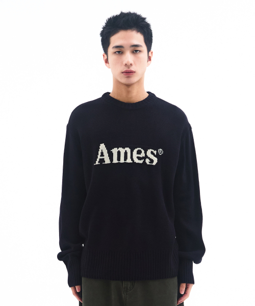 AMESWORLDWIDE(アメスワールドワイド)の「BASIC PULLOVER KNIT NAVY(ニット/セーター・メンズ・その他・MEDIUM/LARGE/SMALL)」の3枚目の写真