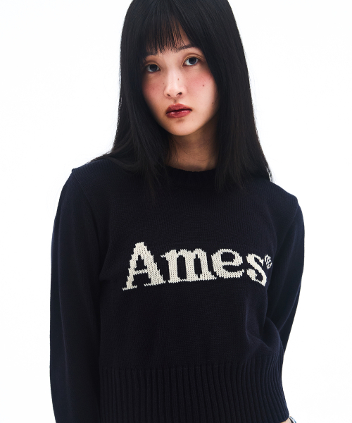 AMESWORLDWIDE(アメスワールドワイド)の「BASIC PULLOVER KNIT NAVY(ニット/セーター・メンズ・その他・MEDIUM/LARGE/SMALL)」の4枚目の写真