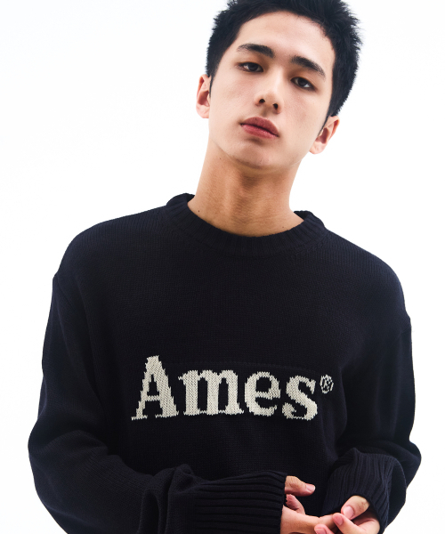 AMESWORLDWIDE(アメスワールドワイド)の「BASIC PULLOVER KNIT NAVY(ニット/セーター・メンズ・その他・MEDIUM/LARGE/SMALL)」の5枚目の写真