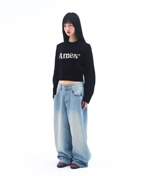 AMESWORLDWIDE(アメスワールドワイド)の「BASIC PULLOVER KNIT NAVY(ニット/セーター・メンズ・その他・MEDIUM/LARGE/SMALL)」の6枚目の写真
