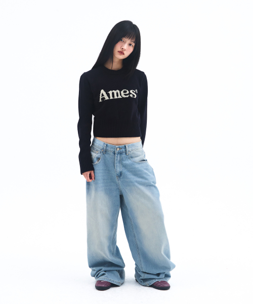 AMESWORLDWIDE(アメスワールドワイド)の「BASIC PULLOVER KNIT NAVY(ニット/セーター・メンズ・その他・MEDIUM/LARGE/SMALL)」の7枚目の写真