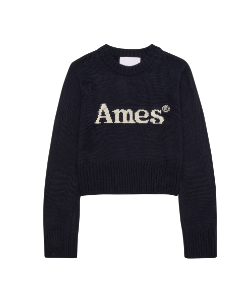 AMESWORLDWIDE(アメスワールドワイド)の「BASIC PULLOVER KNIT NAVY(ニット/セーター・メンズ・その他・MEDIUM/LARGE/SMALL)」の10枚目の写真