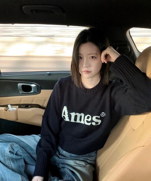 AMESWORLDWIDE(アメスワールドワイド)の「BASIC PULLOVER KNIT NAVY(ニット/セーター・メンズ・その他・MEDIUM/LARGE/SMALL)」の17枚目の写真
