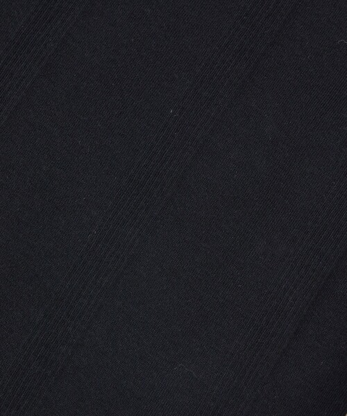 MILLER(ミラー)の「【Robert P.Miller/ロバートピーミラー】パネルリブクルーネックTシャツ(Tシャツ/カットソー・レディース・ブラック系その他/グレー/グレー系その他/ブラック・フリー)」の18枚目の写真