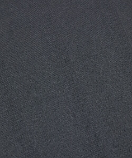 MILLER(ミラー)の「【Robert P.Miller/ロバートピーミラー】パネルリブクルーネックTシャツ(Tシャツ/カットソー・レディース・ブラック系その他/グレー/グレー系その他/ブラック・フリー)」の13枚目の写真
