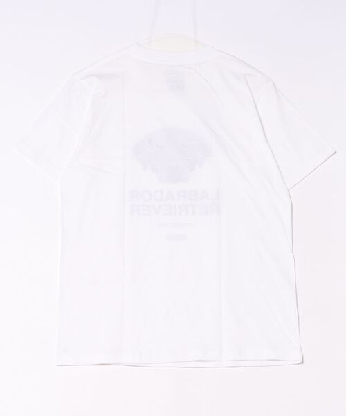 Moftique(モフティック)の「Moftique(モフティック) エントリーモデル 半袖Tシャツ アニマル ラブラドールレトリバー ブラック 犬 ドッグ ペット インクジェットプリント 褪せ感 4.0オンス 薄手 トップス カットソー 夏 カジュアル レディース ユニセックス(Tシャツ/カットソー・レディース・ホワイト・S)」の2枚目の写真