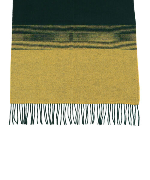 Ray BEAMS（レイビームス）の「Ray BEAMS / グラデーション ストール（ストール/ショール・レディース・ピンク/オレンジ/グリーン・ONE SIZE）」の15枚目の写真