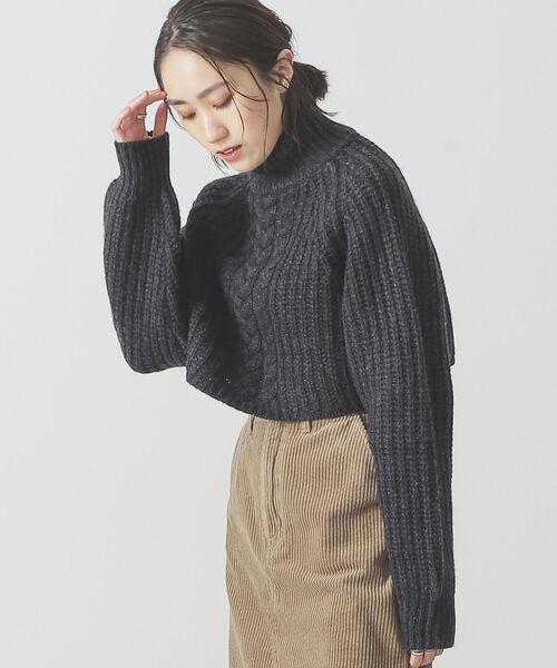 BEAMS LIGHTS(ビームスライツ)の「BEAMS LIGHTS / 3ゲージ モンゴルウール タートルネック ニット(ニット/セーター・レディース・チャコールグレー/ライトグレー・ONE SIZE)」の2枚目の写真