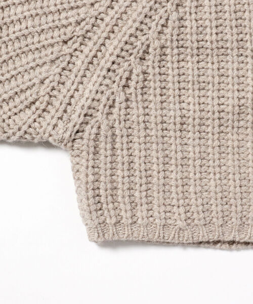 BEAMS LIGHTS(ビームスライツ)の「BEAMS LIGHTS / 3ゲージ モンゴルウール タートルネック ニット(ニット/セーター・レディース・チャコールグレー/ライトグレー・ONE SIZE)」の18枚目の写真