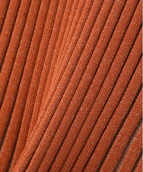 N.（N. Natural Beauty Basic）（エヌエヌナチュラルビューティーベーシック）の「◆配色リブノースリーブニット（ニット/セーター・レディース・ベージュ/レッド/グリーン・MEDIUM）」の19枚目の写真