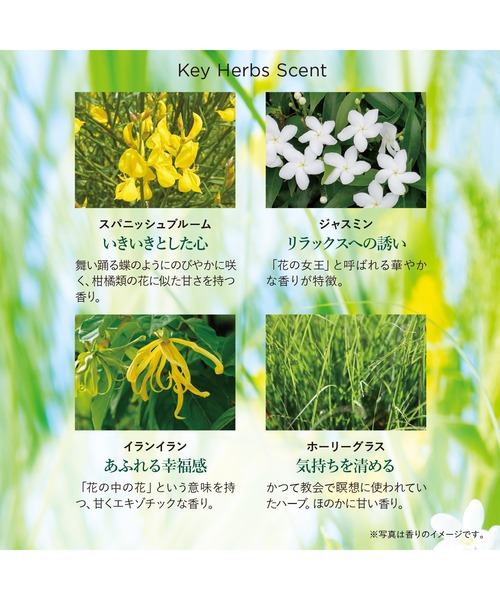 ロクシタン エルバガーデン コンプリート 箱入り L'OCCITANE