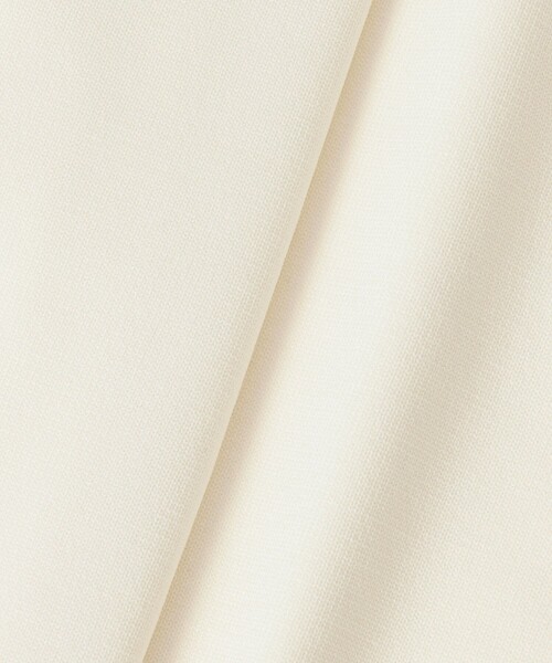 ANAYI（アナイ）の「ドット釦ブルゾン カーディガン（カーディガン/ボレロ・レディース・ブラウン/ブラック/アイボリー・38/36）」の21枚目の写真