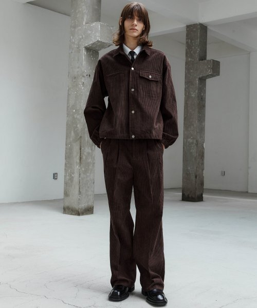 TRIP LE SENS(トリップ ル センス)の「FWコンフォートコーデュロイツーピンタックスラックス_ブラウン(スラックス・レディース・その他・SMALL/MEDIUM/LARGE)」の2枚目の写真