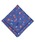 POLO RALPH LAUREN�i�|�� �����t ���[�����j�́u���f�B�[�X ���[�W �v�����g�n���J�`�i�n���J�`/�n���h�^�I���j�v�b�u���[