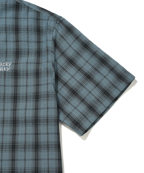 Wacky WiLLy(ワッキーウィリー)の「シアサッカー チェック 半袖シャツ ブルー(シャツ/ブラウス・メンズ・その他・LARGE/X-LARGE/SMALL/MEDIUM)」の2枚目の写真