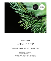 LIBER（リーベル）の「LIBER ディフューザー（香水・フレグランスキット/ギフトセット）」