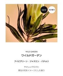 LIBER（リーベル）の「LIBER ディフューザー（香水・フレグランスキット/ギフトセット）」