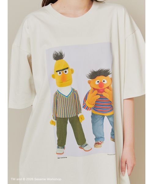 SESAME STREET(セサミストリート)の「フォトアートTシャツ(Tシャツ/カットソー・レディース・ホワイト/ライトグレー/ネイビー・L/M)」の15枚目の写真
