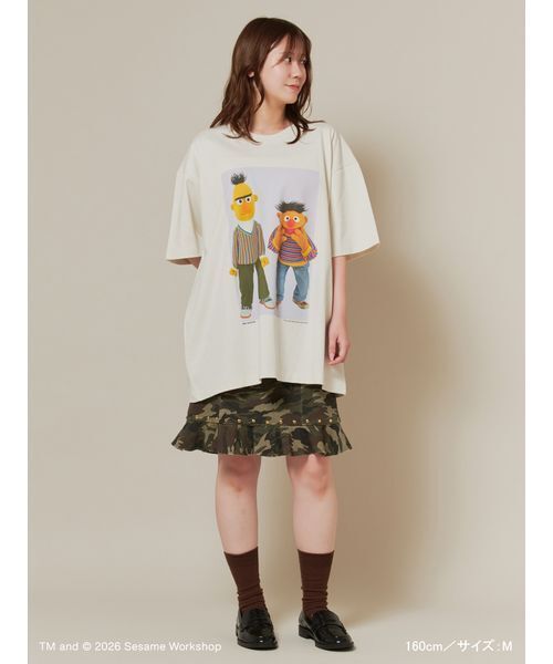 SESAME STREET(セサミストリート)の「フォトアートTシャツ(Tシャツ/カットソー・レディース・ホワイト/ライトグレー/ネイビー・L/M)」の17枚目の写真