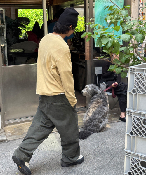 SCALLYWAG（スカリーワグ）の「ガーメントダイ カーブドコットンパンツ[カーキ]（その他パンツ・レディース・その他・SMALL/MEDIUM/LARGE）」の4枚目の写真
