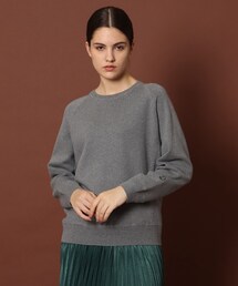 DRESSTERIOR | ウォッシャブルスウェット風ニット(ニット/セーター)