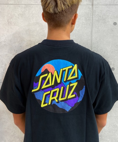 SANTA CRUZ(サンタクルーズ)の「【ムラサキスポーツ別注】SANTACRUZ/サンタクルーズ ルーズフィット バックプリントTシャツ 502222404(Tシャツ/カットソー・メンズ・ブラック/ホワイト/グリーン・M/L/XL)」の7枚目の写真