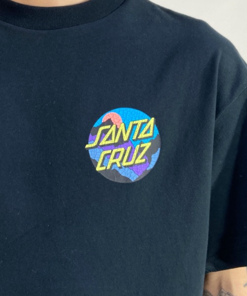 SANTA CRUZ(サンタクルーズ)の「【ムラサキスポーツ別注】SANTACRUZ/サンタクルーズ ルーズフィット バックプリントTシャツ 502222404(Tシャツ/カットソー・メンズ・ブラック/ホワイト/グリーン・M/L/XL)」の13枚目の写真