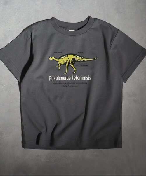BREEZE（ブリーズ）の「福井県立恐竜博物館コラボ 恐竜フラッシュTシャツ(コドモ)（Tシャツ/カットソー・キッズ・ブラック/ベージュ/オフホワイト・90/100/110/120/130/140/150）」の2枚目の写真